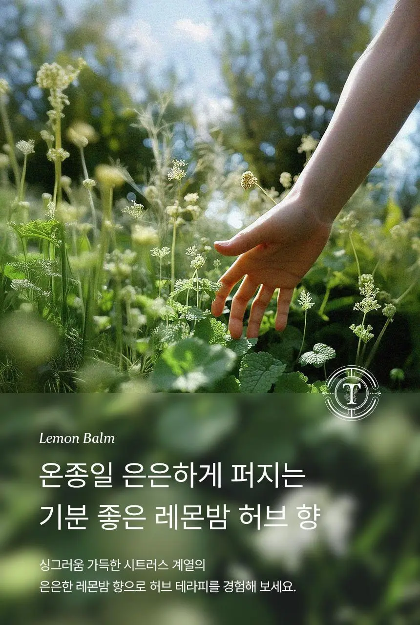 [청담샵 Pick] 티타드 레몬밤 뿌리 볼륨 샴푸 400ml 기획 (+트리트먼트200ml 증정) 상세페이지 33